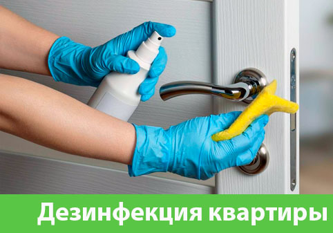 Дезинфекция квартиры в городе Коломна