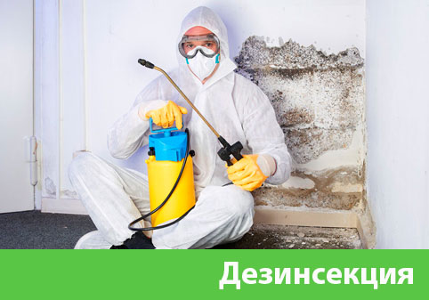 Дезинсекция в городе Коломна