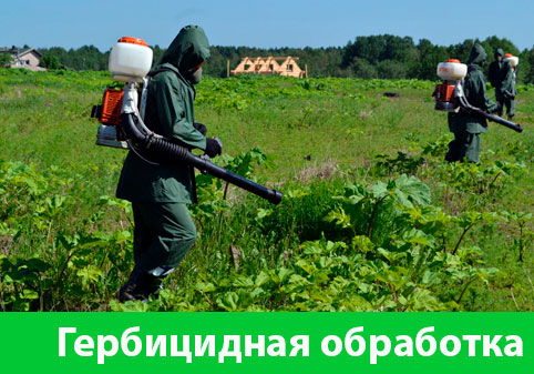 Гербицидная обработка в городе Коломна