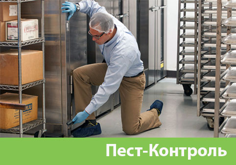 Пэст-Контроль в городе Коломна