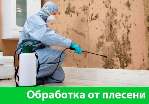 Обработка от плесени в городе Коломна