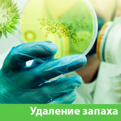Удаление запахов в Коломне