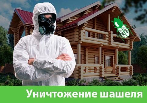 Уничтожение шашеля и личинок в Коломне