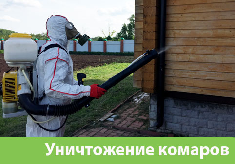 Уничтожение комаров в городе Коломна