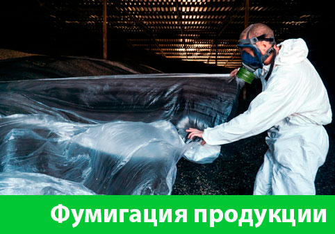 Фумигация продукции в городе Коломна